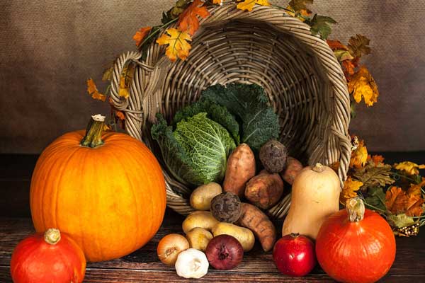 Pumpkin still life